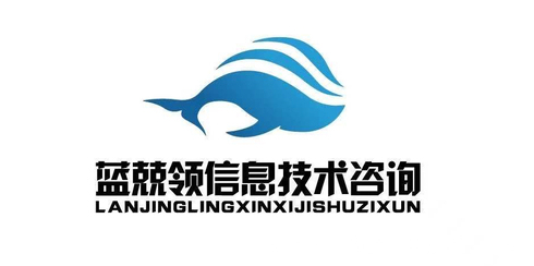 藍兢領 信息技術咨詢服務的領航者